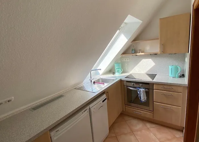 Nordheide Mit Hund Hollenstedt